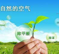 除甲醛對于住房安全和環(huán)境保護的作用有什么？