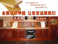 甲醛室內(nèi)頭號(hào)隱形殺手再引關(guān)注 櫥柜甲醛知多少？【佛山除甲醛公司】