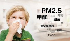 一些值得借鑒方法又常用的佛山新房除甲醛的技巧有哪些？