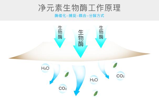 光觸媒、生物酶、空氣凈化器，哪家除甲醛公司效果好？
