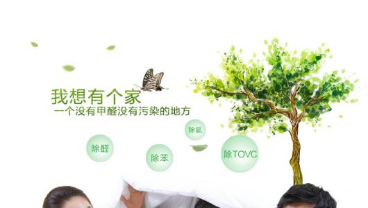 效果好、專業(yè)的光觸媒除甲醛產(chǎn)品有那些？